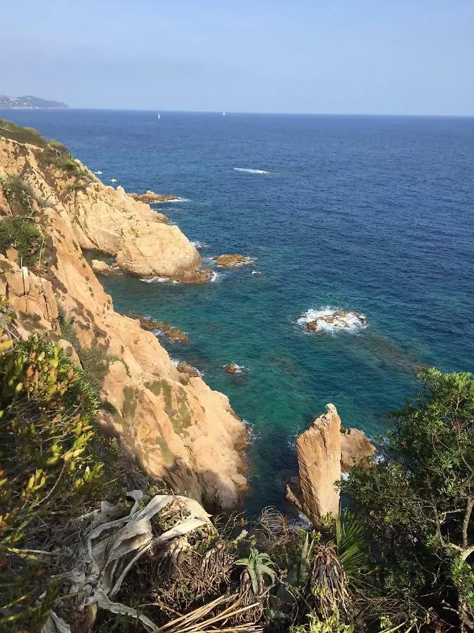 Central Park Blanes 0*,